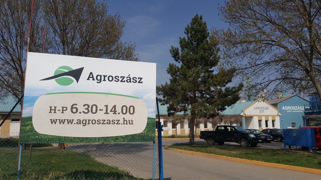 agroszasz_tabla