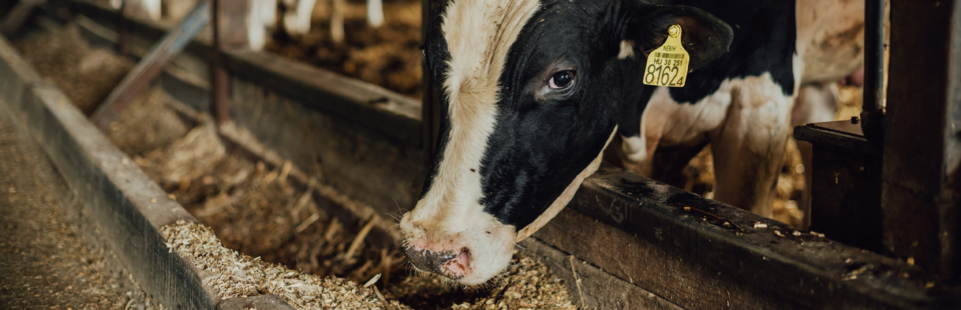 <strong>Érdekelnek az Agroszász termékek?</strong><br>