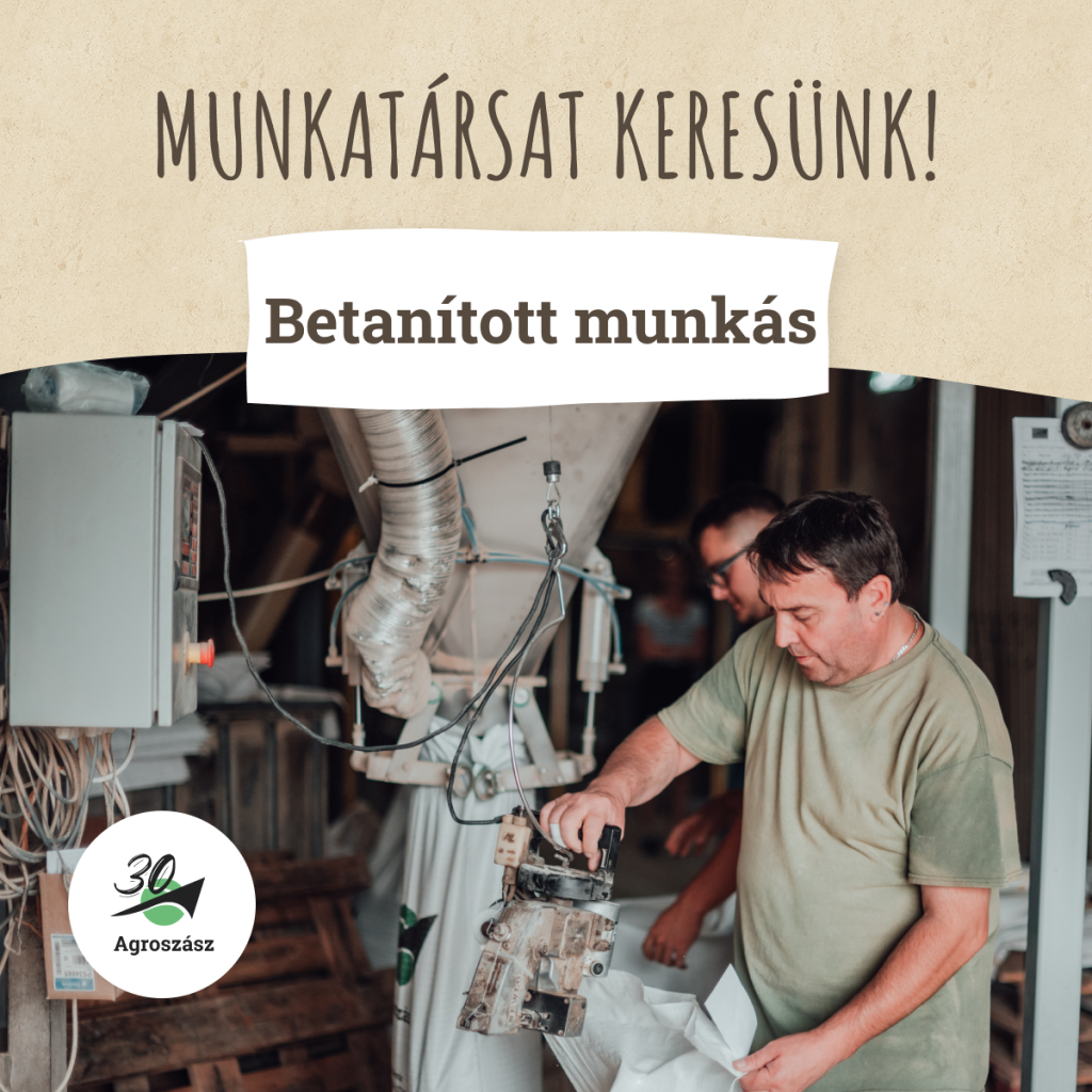 Munkatársat keresünk betanított munkára